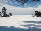 IMG-20200130-WA0002.jpg